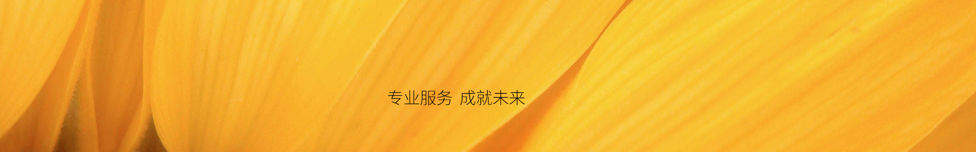 tp钱包官网下载